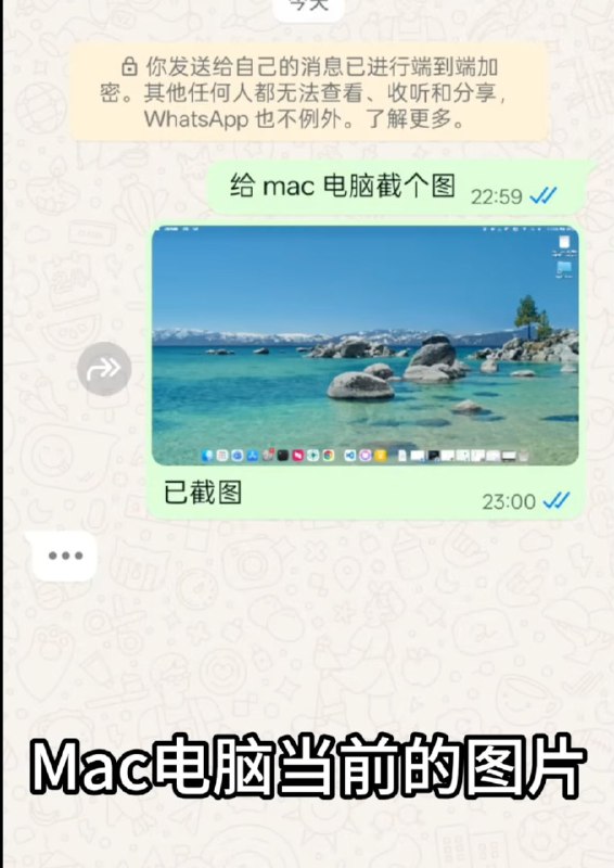 正在看技术爬爬虾的